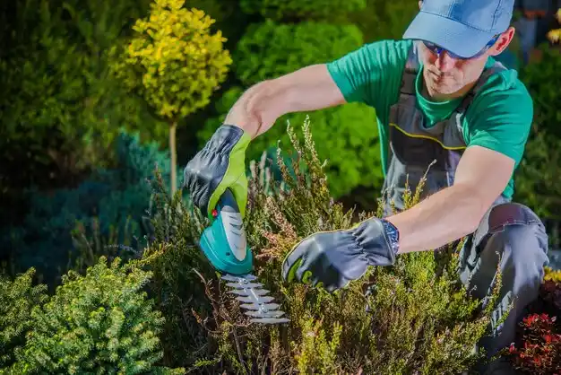 landscaping services Seligman